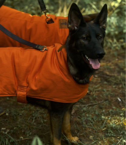 L.L.Bean & Noah Kahan Reversible Field Coat for Dogs - L.L.Bean Latest