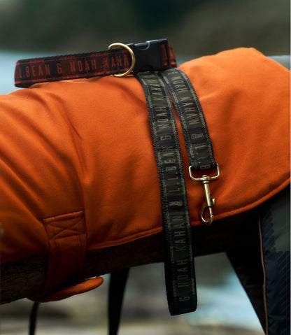L.L.Bean & Noah Kahan Novelty Dog Leash - L.L.Bean Latest