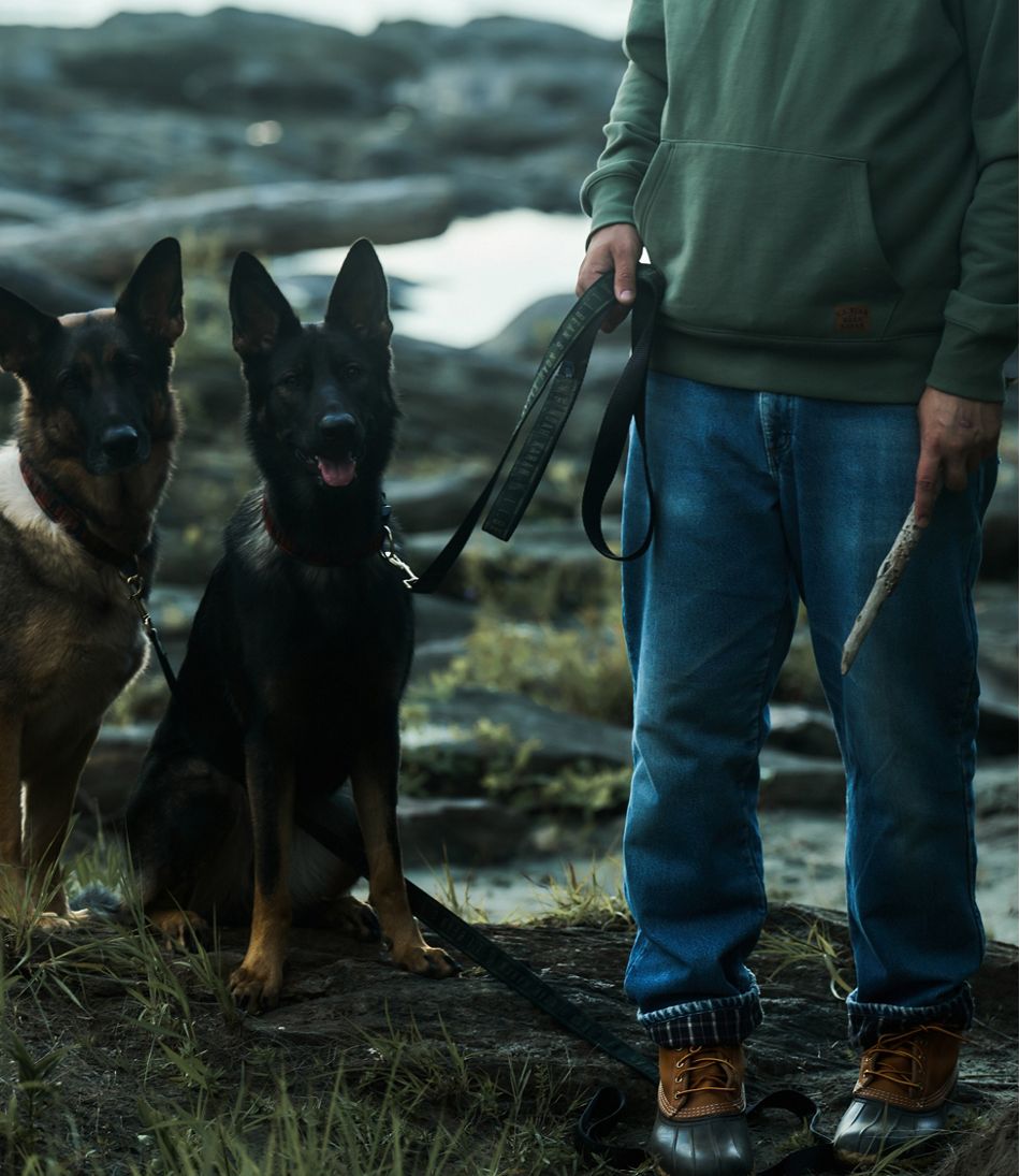 L.L.Bean & Noah Kahan Novelty Dog Leash - L.L.Bean Latest