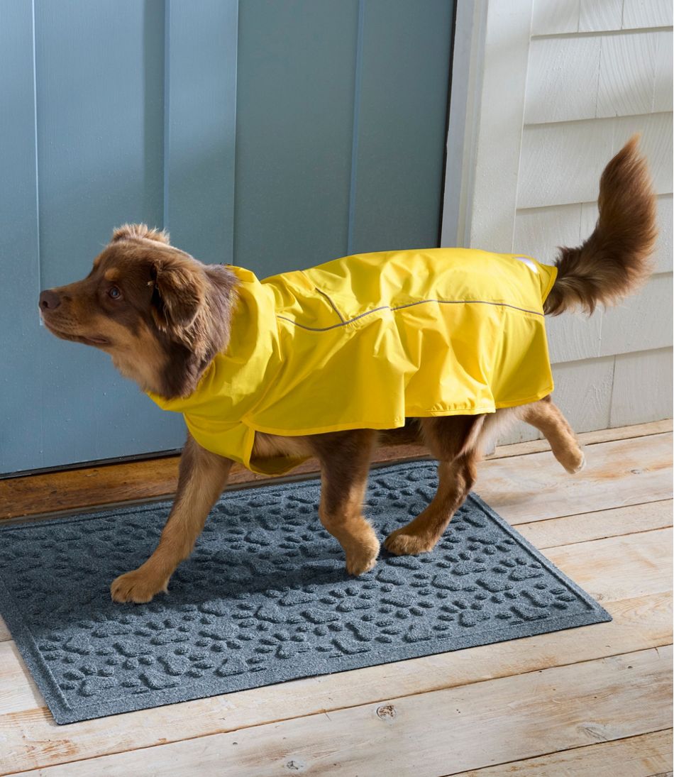 Discovery Dog Rain Jacket - L.L.Bean Trusted