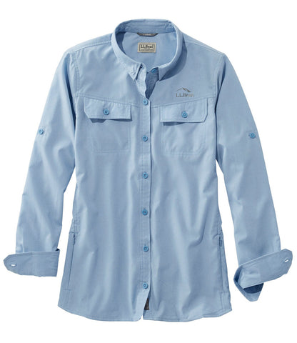 Blue Aster,X-Small