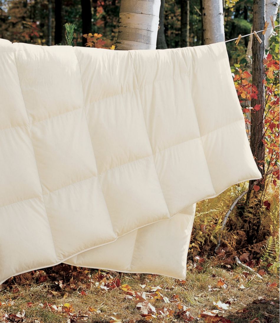 Box-Stitch Goose Down Comforter, Warm - L.L.Bean Essential