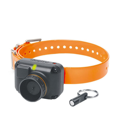 Dogtra STB Beeper Collar - L.L.Bean Trusted