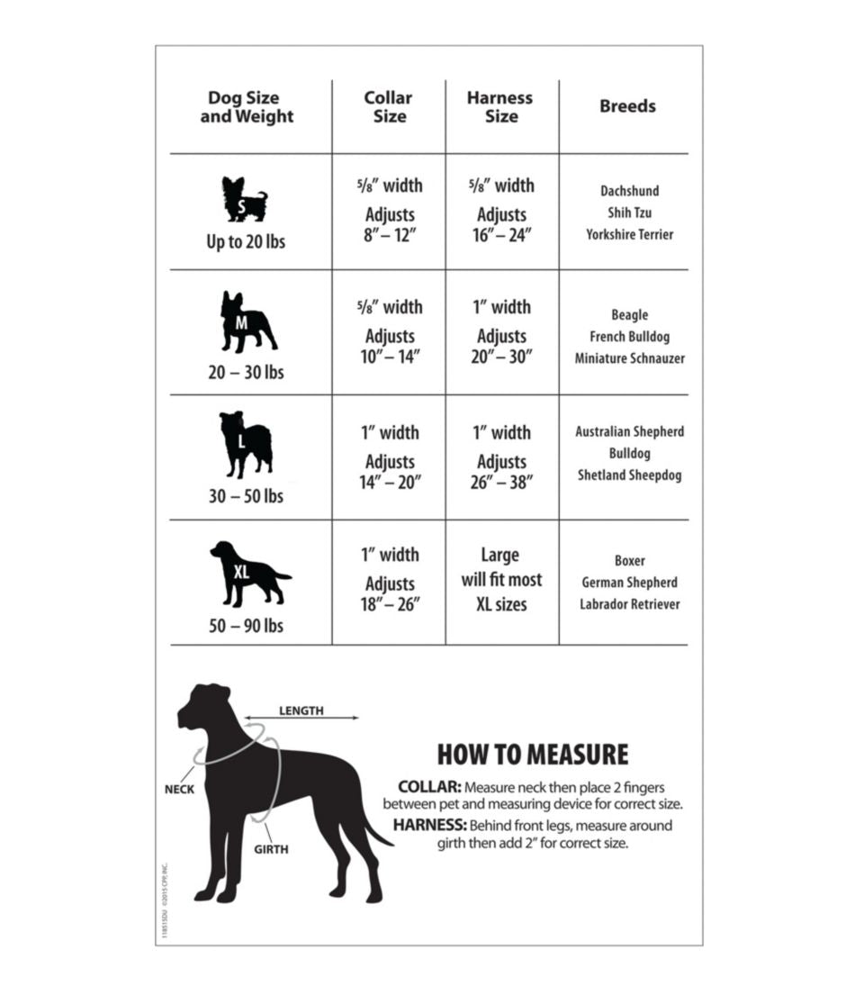 Personalized Pet Collar - L.L.Bean Essential
