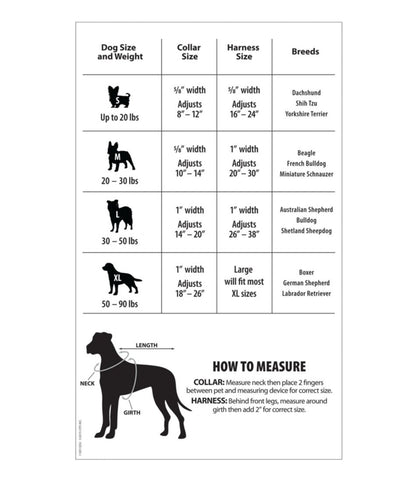 Personalized Pet Collar - L.L.Bean Essential