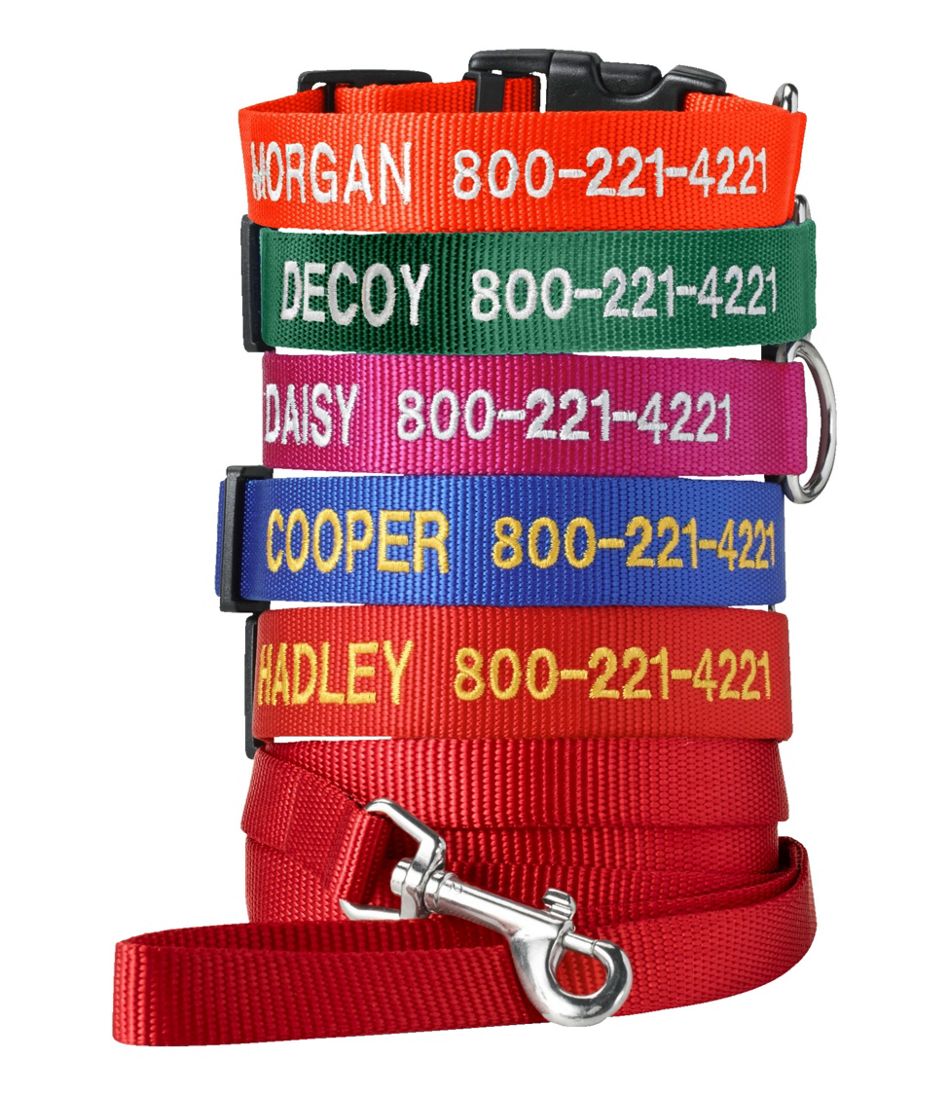 Personalized Pet Collar - L.L.Bean Essential